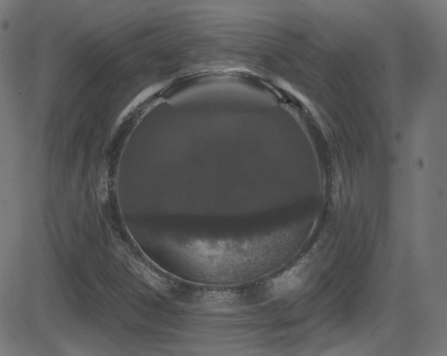 X0000081341306200701111414