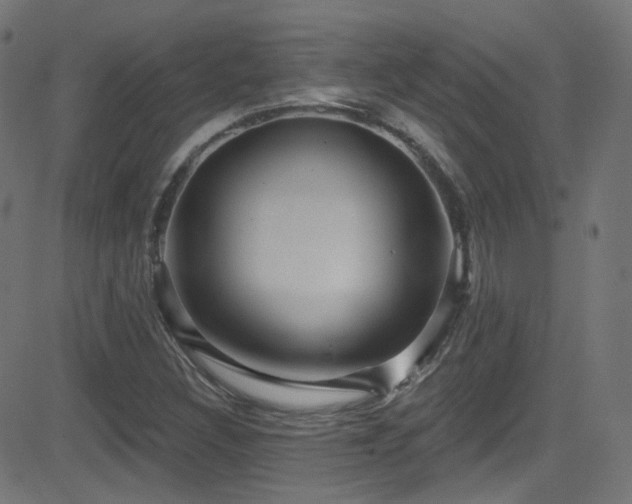 X0000081341308200701111414