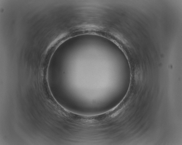 X0000081341309200701111414