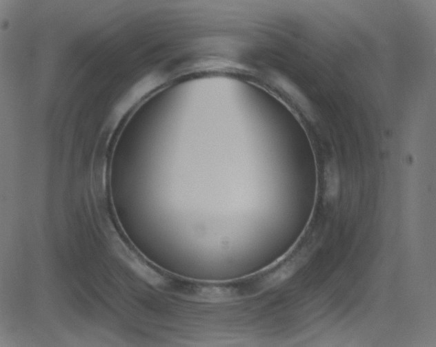 X0000081341322200701111414
