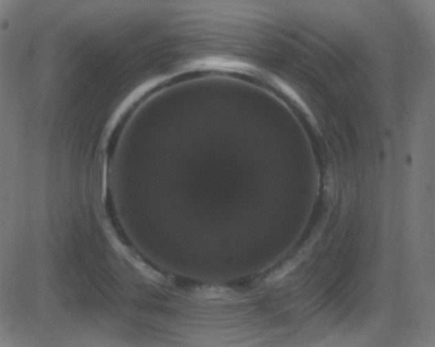 X0000081341323200701111414