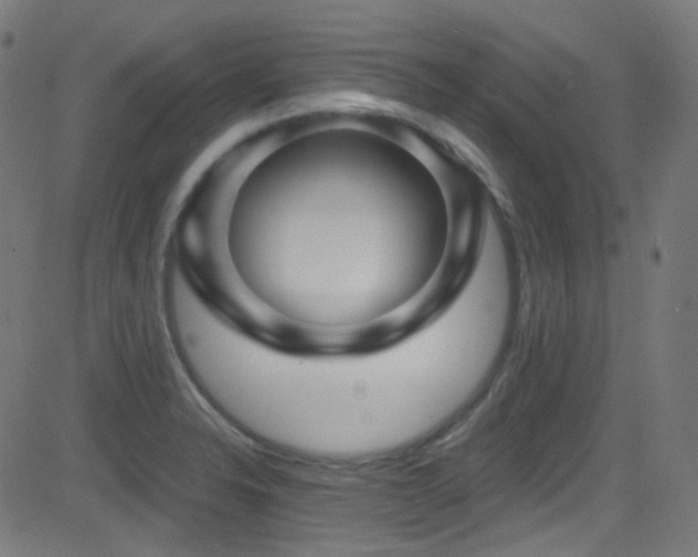 X0000081341326200701111414