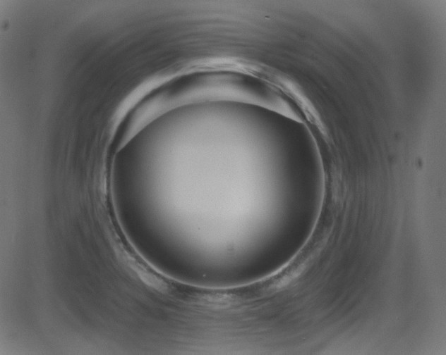 X0000081341328200701111414