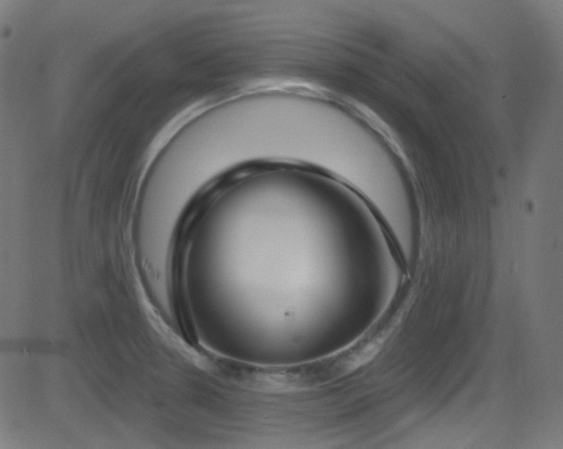 X0000081341330200701111414