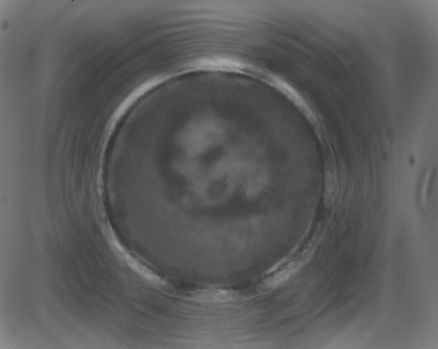 X0000081341331200701111414