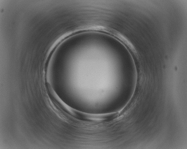 X0000081341332200701111414