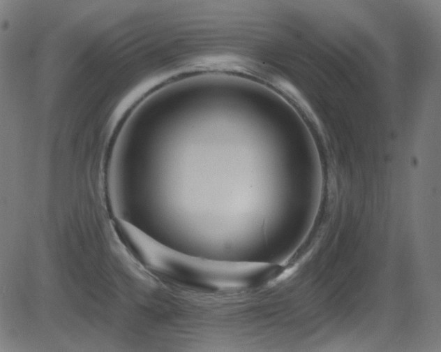 X0000081341336200701111414