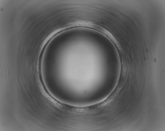 X0000081341339200701111414