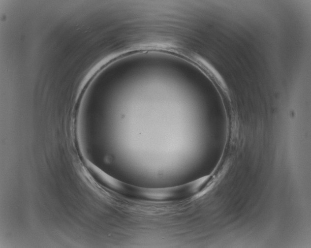 X0000081341340200701111414