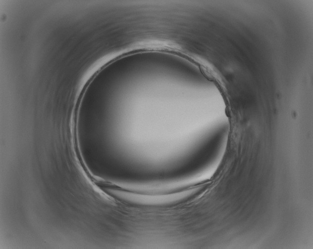 X0000081341343200701111414