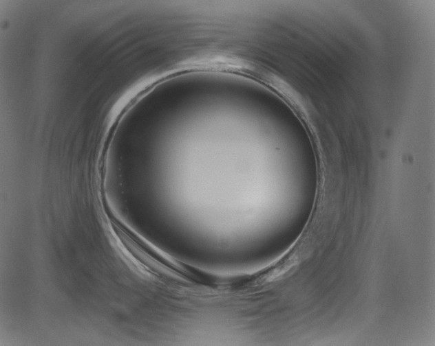 X0000081341344200701111414