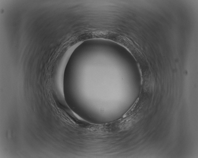 X0000081341345200701111414