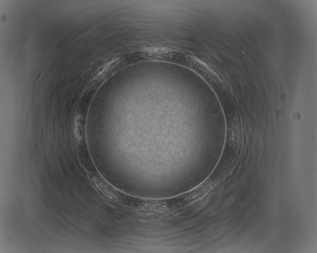 X0000081341346200701111414