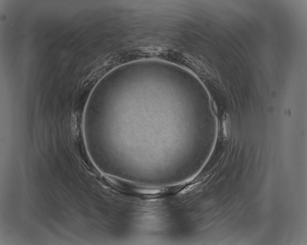 X0000081341347200701111414