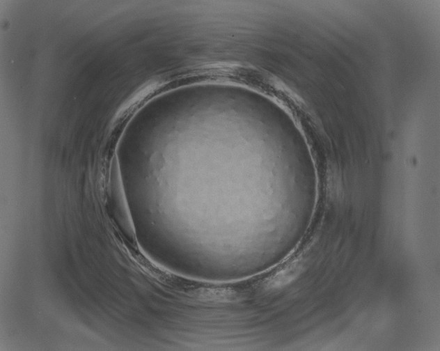 X0000081341354200701111414