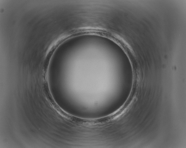 X0000081341357200701111413