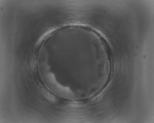 X0000081341359200701111413
