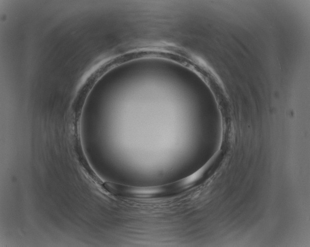 X0000081341360200701111413