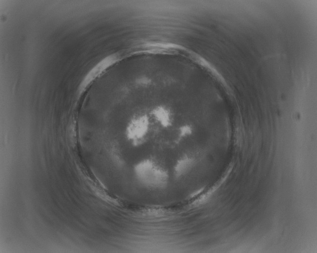 X0000081341362200701111413