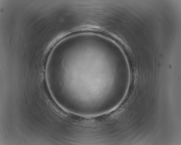 X0000081341363200701111413