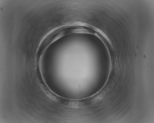 X0000081341364200701111413