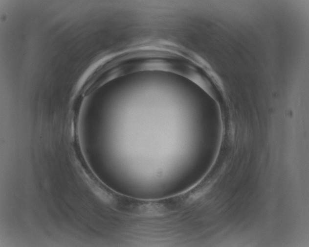 X0000081341368200701111413