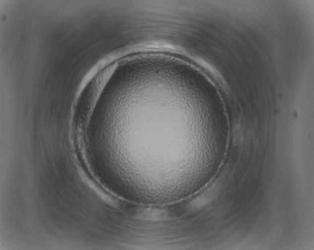 X0000081341374200701111413