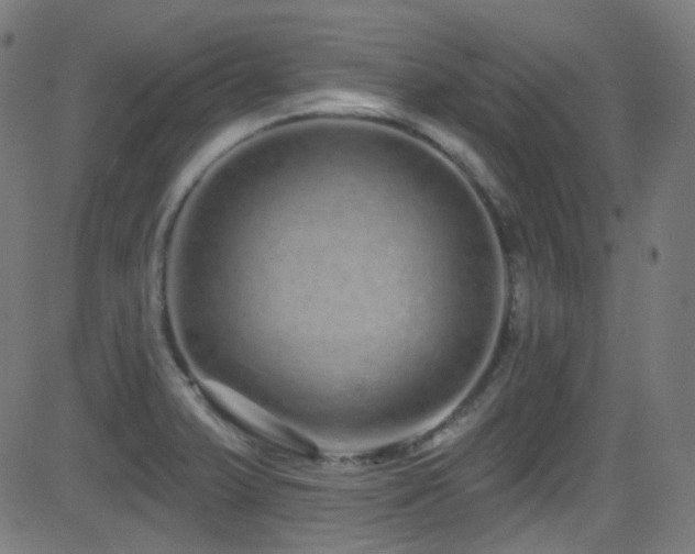 X0000081341375200701111413