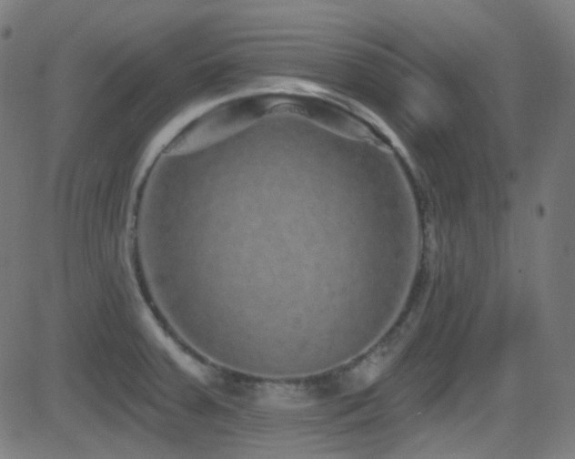 X0000081341379200701111413