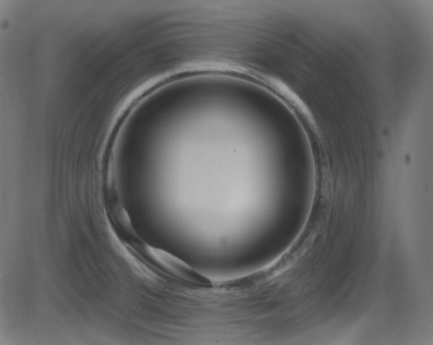 X0000081341380200701111413