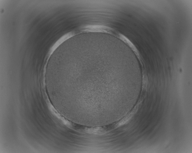 X0000081341386200701111413