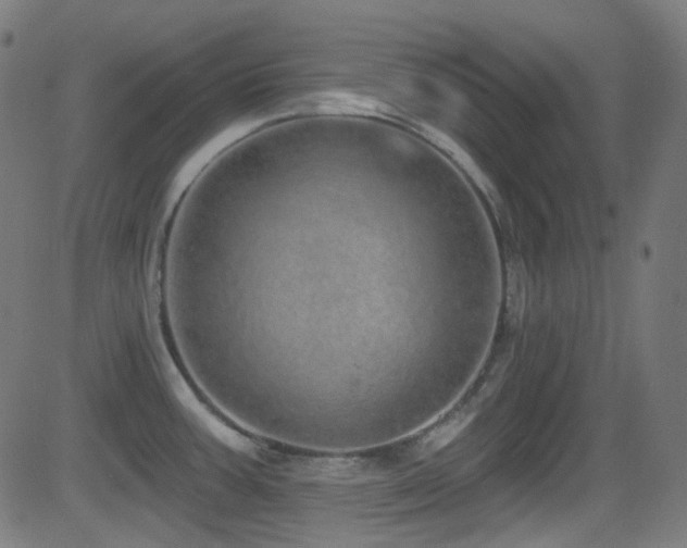 X0000081341387200701111413