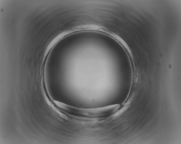 X0000081341389200701111413