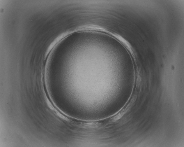 X0000081341390200701111413