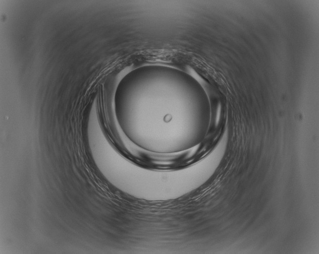 X0000081341393200701111412