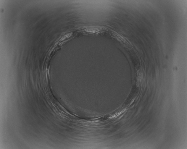 X0000081341394200701111412