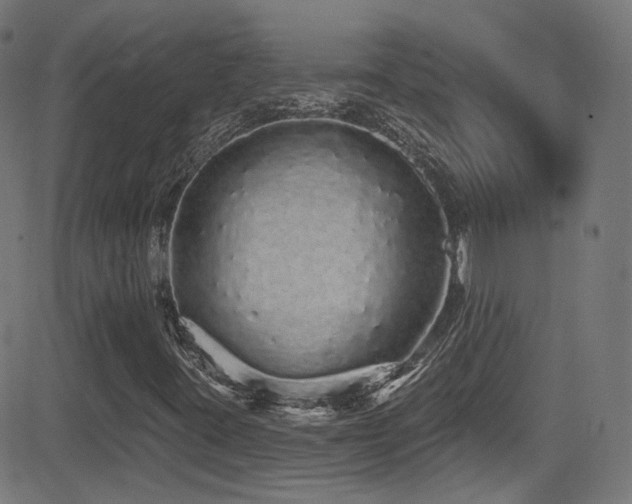 X0000081341395200701111412
