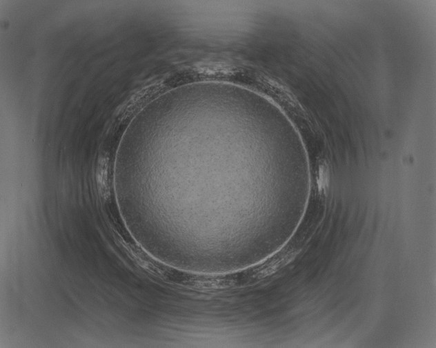 X0000081341396200701111412