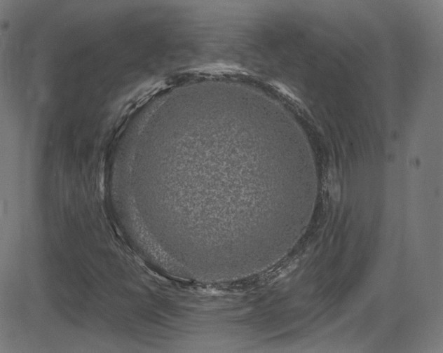 X0000081341398200701111412
