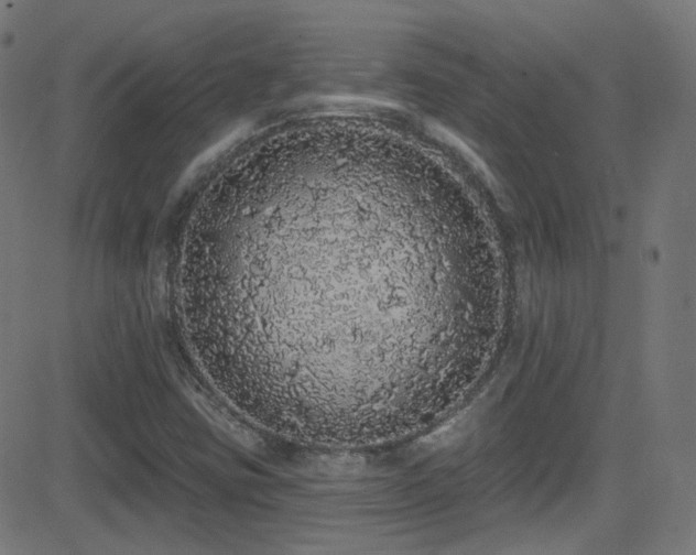 X0000081341403200701111412