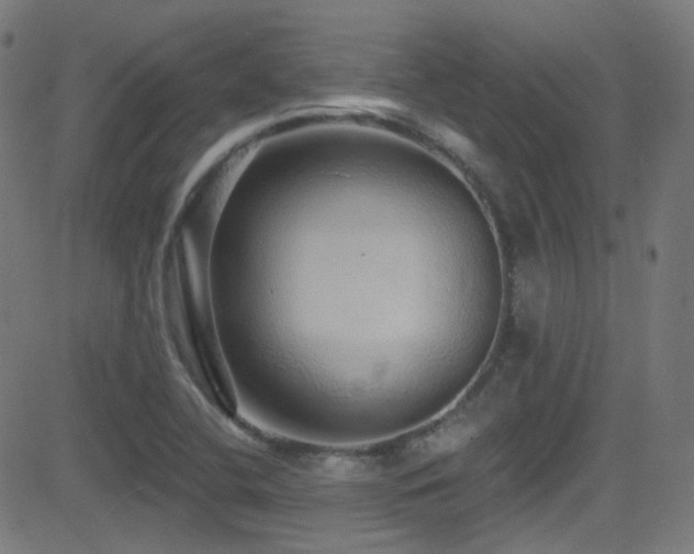 X0000081341412200701111412