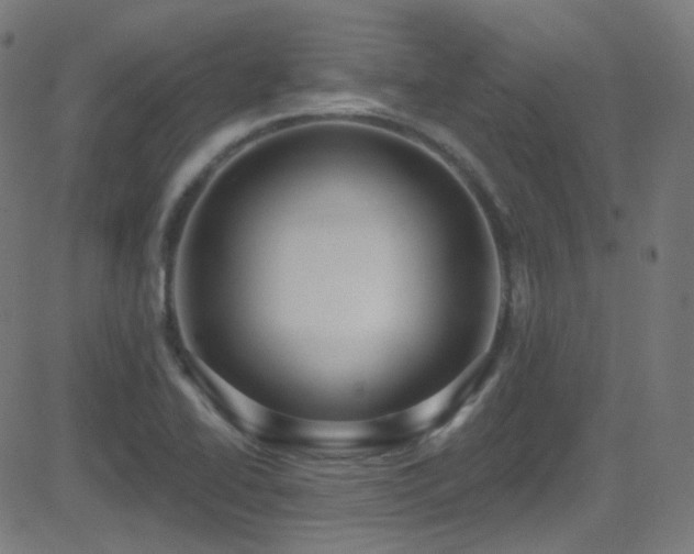 X0000081341414200701111412