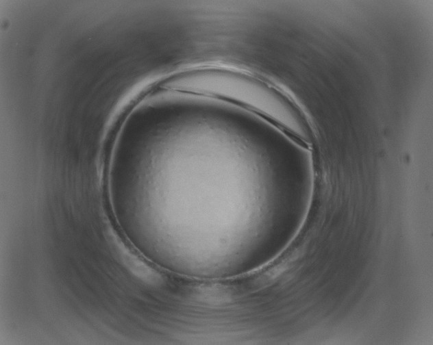 X0000081341416200701111412