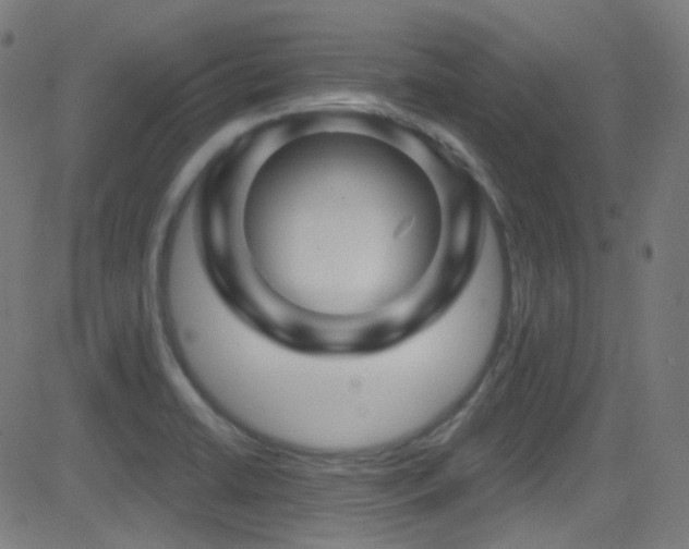 X0000081341422200701111413