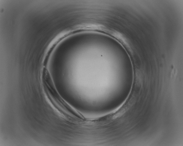 X0000081341424200701111413