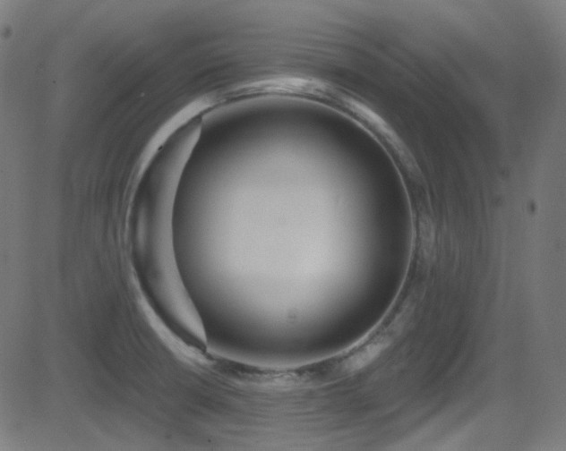 X0000081341426200701111413