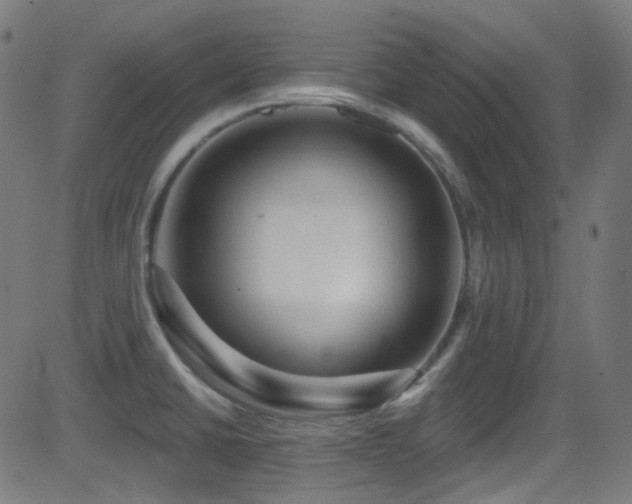 X0000081341430200701111413