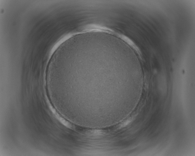X0000081341431200701111413