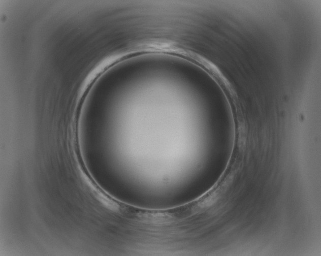 X0000081341432200701111413