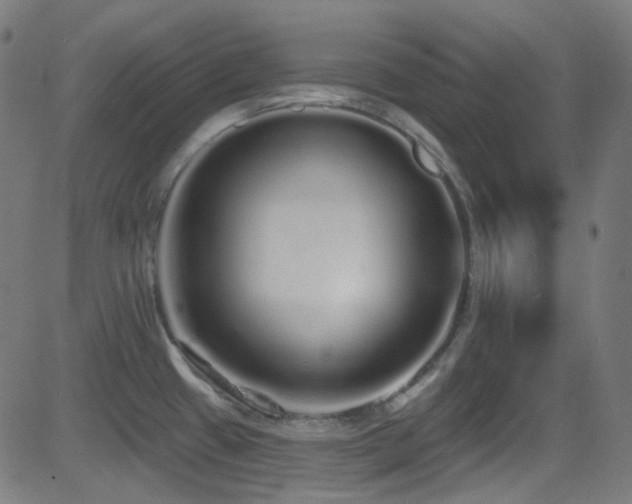 X0000081341433200701111413